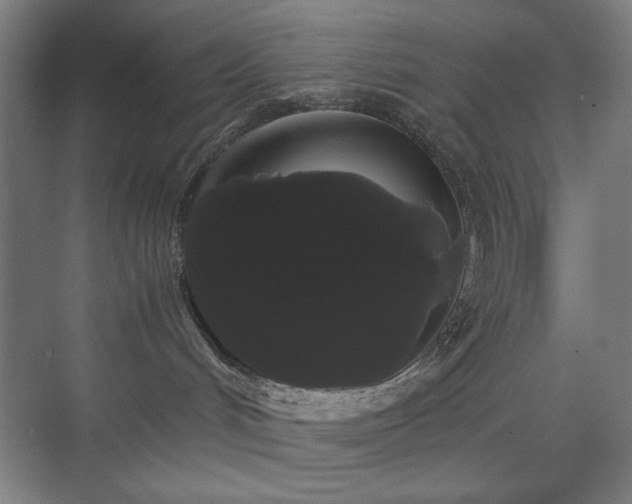 X0000071900048200607141345