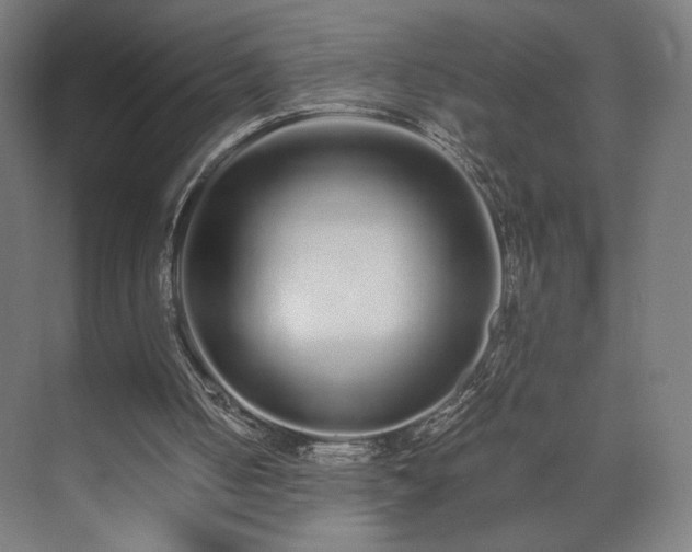 X0000071900050200607141345