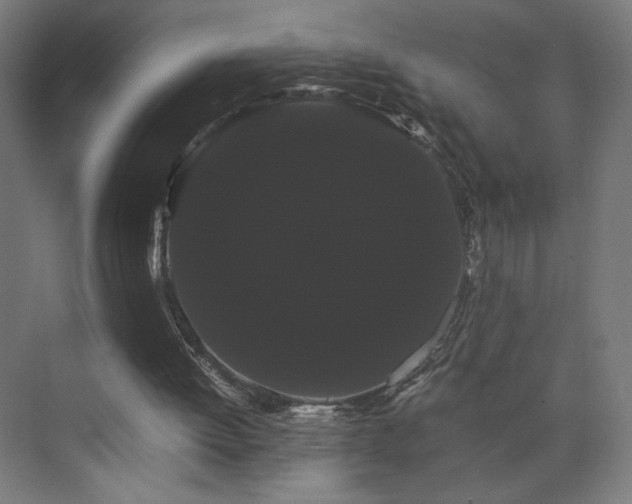 X0000071900052200607141345