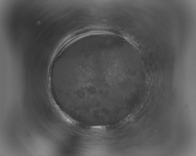 X0000071900053200607141345