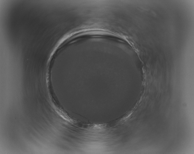 X0000071900056200607141345