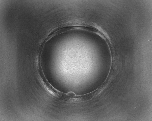 X0000071900057200607141345