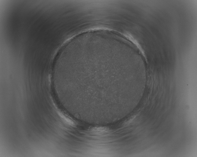 X0000071900063200607141345