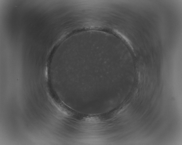 X0000071900067200607141345