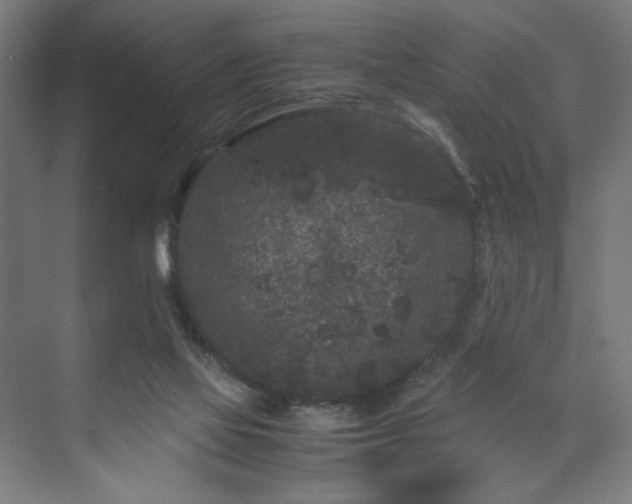 X0000071900069200607141345