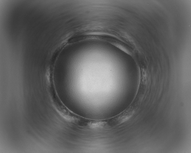 X0000071900072200607141345