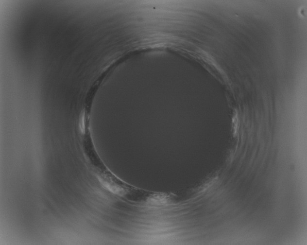 X0000071900076200607141345