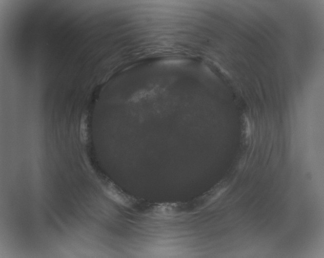 X0000071900080200607141345