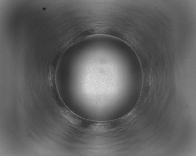 X0000071900082200607141345