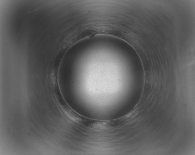 X0000071900086200607141345