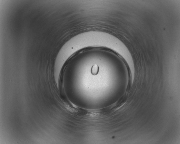 X0000071900092200607141345