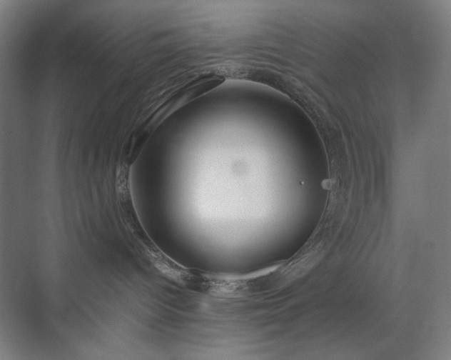 X0000071900096200607141345