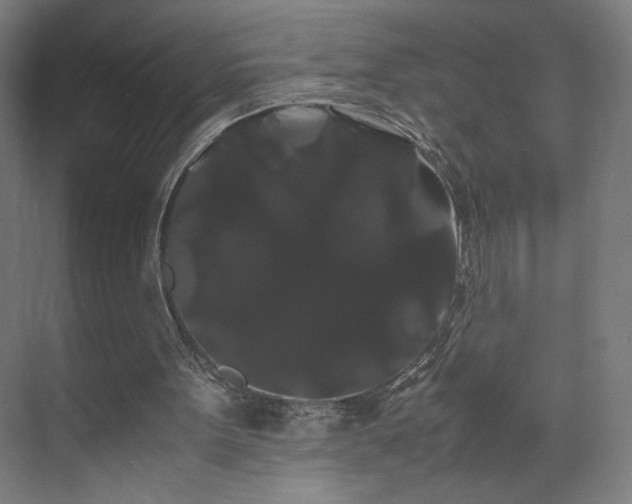 X0000071900099200607141345