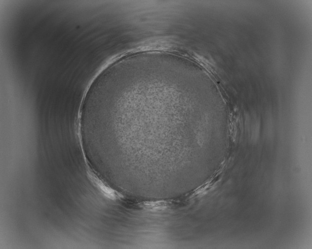 X0000071900100200607141345