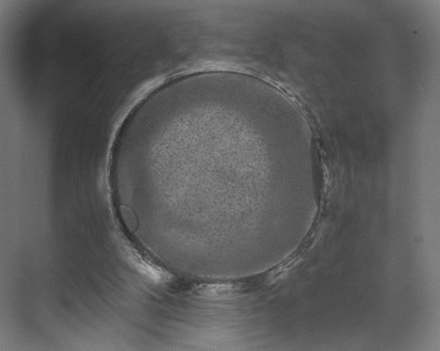 X0000071900104200607141344