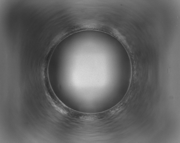 X0000071900106200607141344