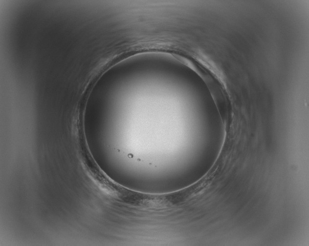 X0000071900107200607141344