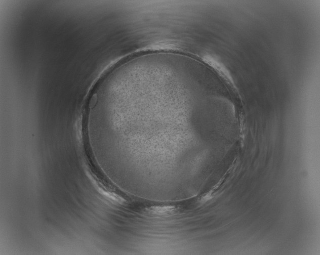 X0000071900108200607141344