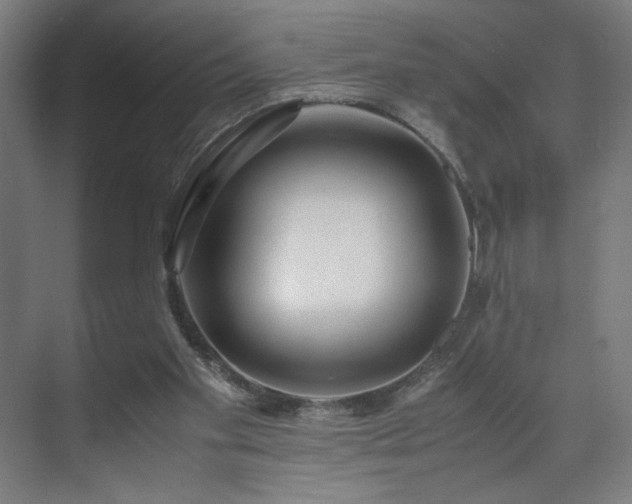 X0000071900109200607141344