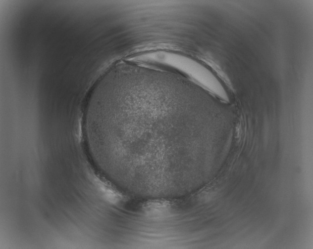 X0000071900110200607141344