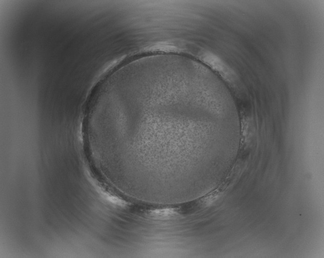 X0000071900112200607141344