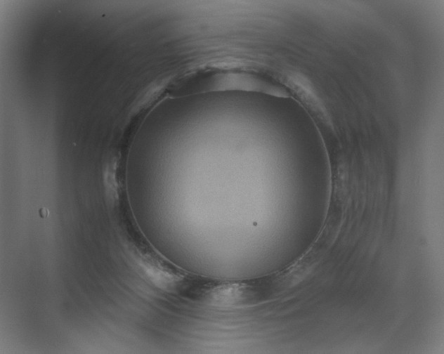 X0000071900116200607141344