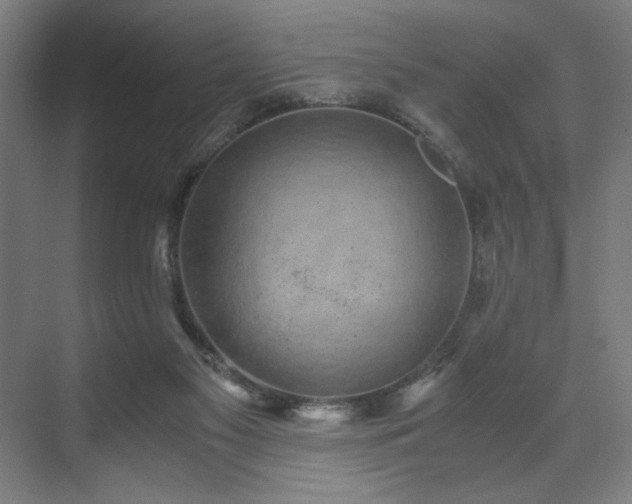 X0000071900117200607141344