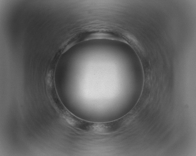 X0000071900121200607141344