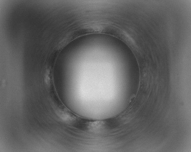 X0000071900122200607141344