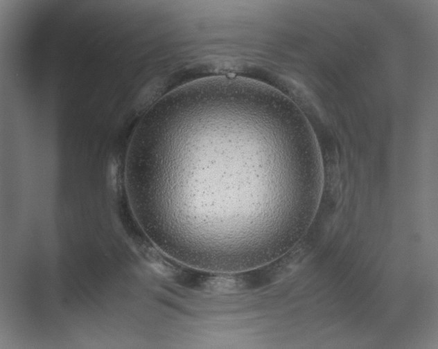 X0000071900123200607141344