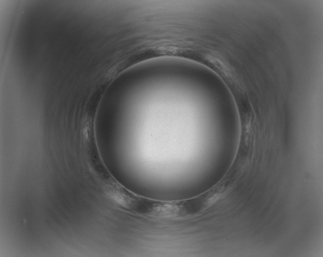 X0000071900125200607141344