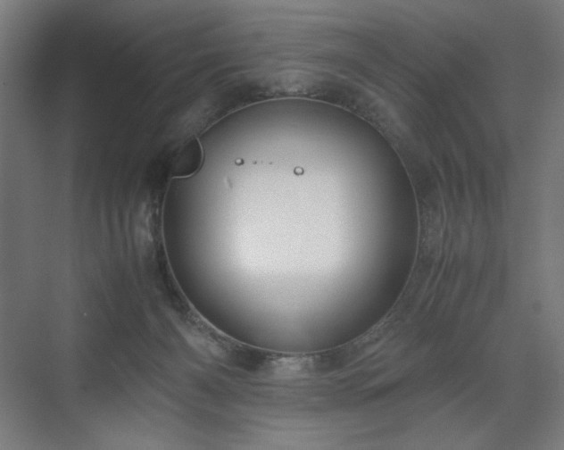 X0000071900126200607141344