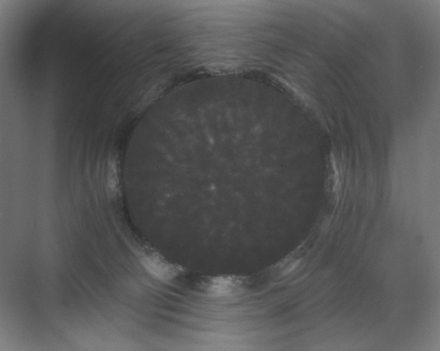 X0000071900130200607141344