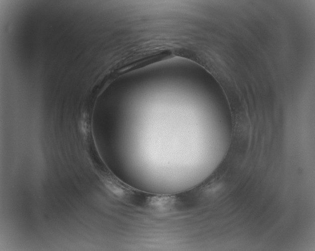 X0000071900135200607141344