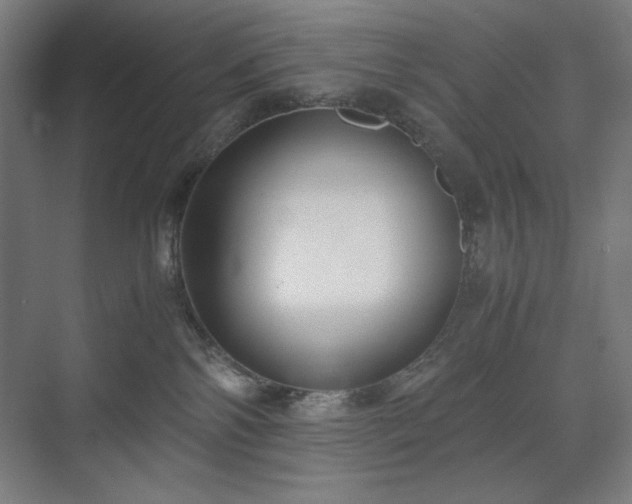 X0000071900138200607141344