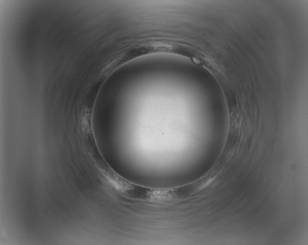 X0000071900141200607141344