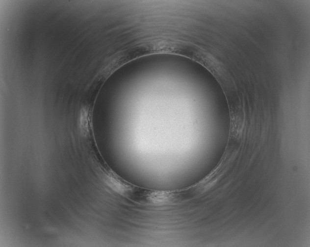 X0000071900142200607141344