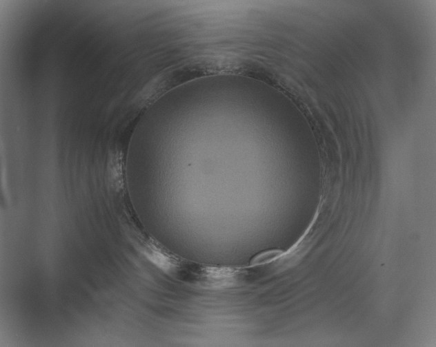 X0000071900144200607141344