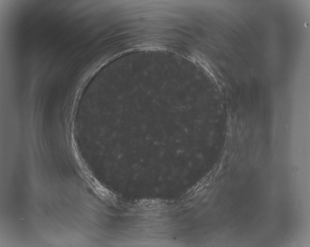 X0000071900145200607141343