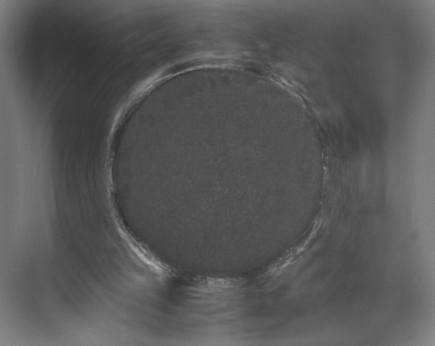 X0000071900149200607141343