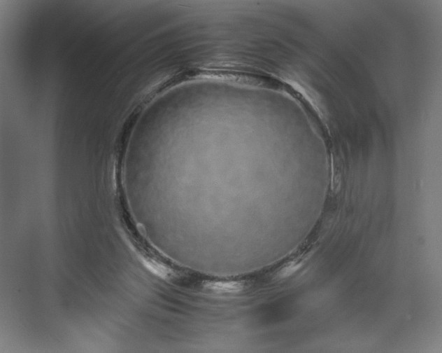 X0000071900157200607141343