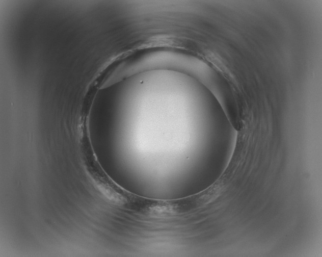 X0000071900160200607141343