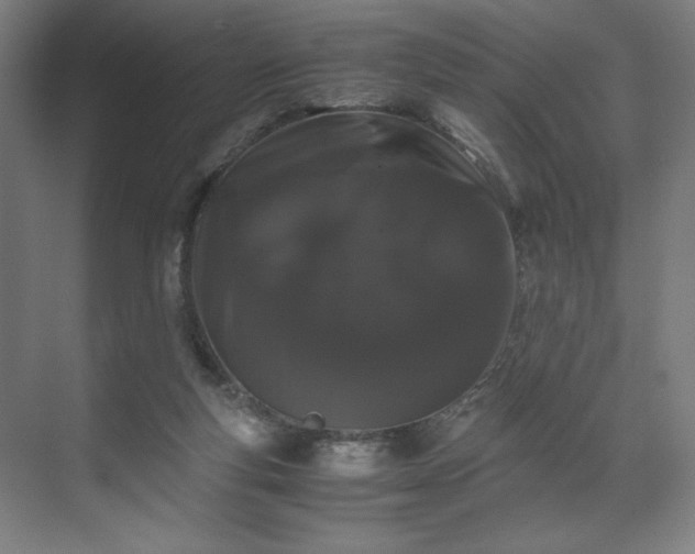 X0000071900163200607141343