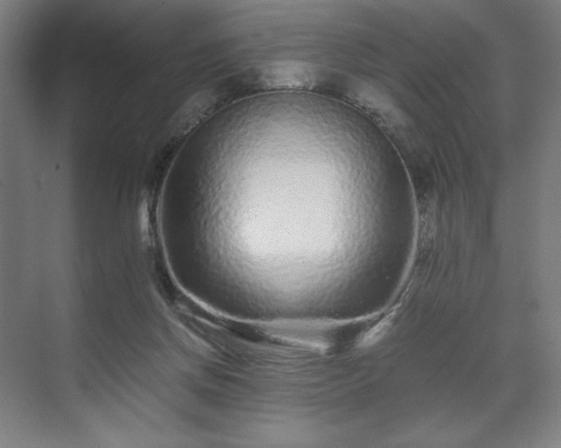 X0000071900166200607141343