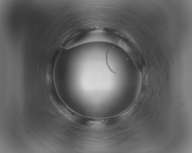 X0000071900170200607141343