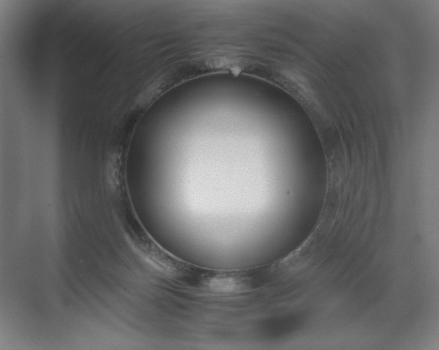 X0000071900171200607141343