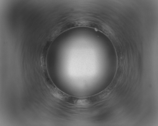 X0000071900173200607141343