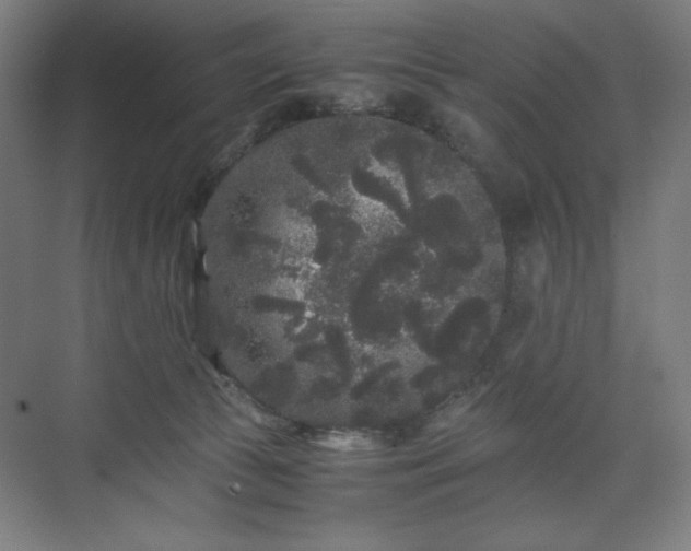 X0000071900177200607141344