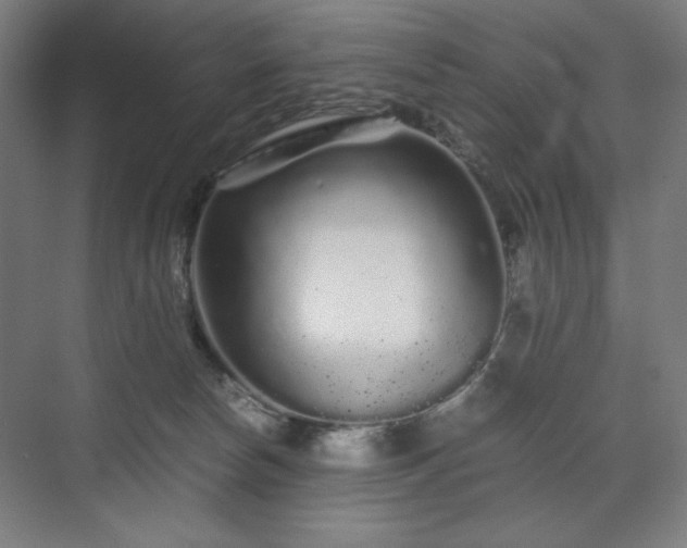 X0000071900178200607141344