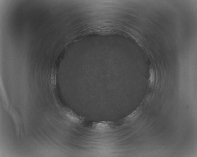 X0000071900180200607141344